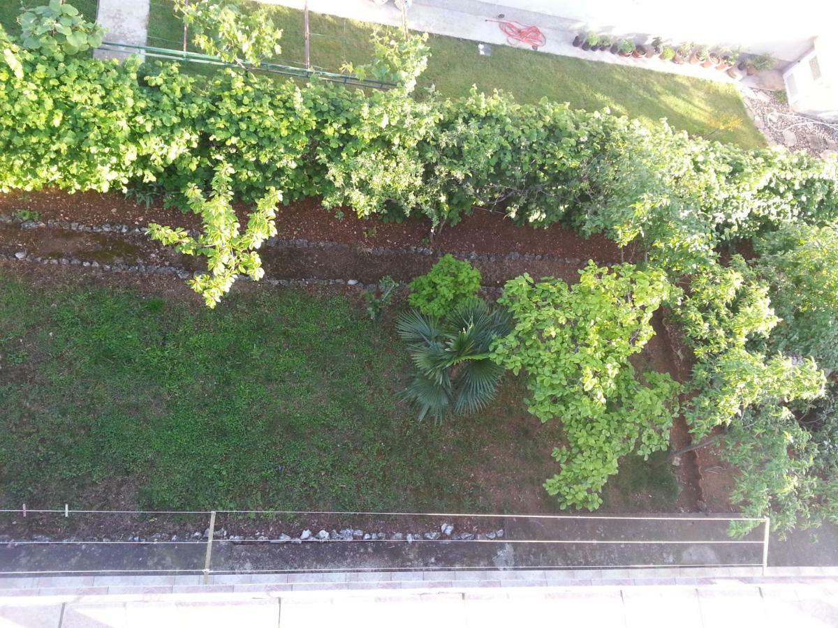 Apartments Kamelija مالينسكا المظهر الخارجي الصورة